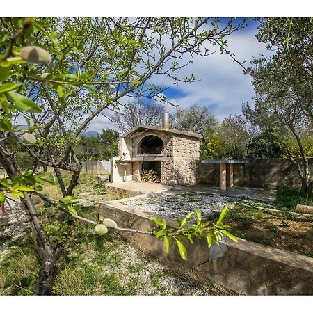 Apartament Dario *