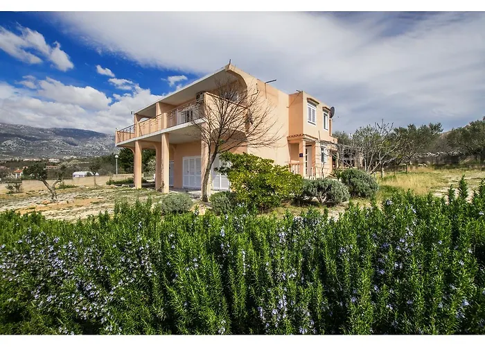 Dario * روفانجسكا