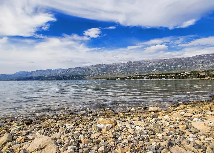 Dario * روفانجسكا